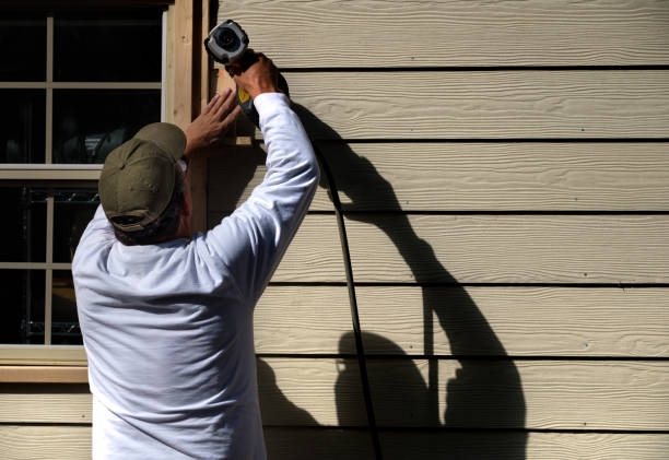 Best Custom Siding Design  in Bellevue, MI