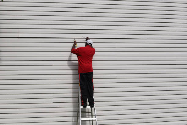 Trusted Bellevue, MI Siding Experts